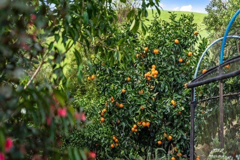 Photo of property in 1027 Kaiaua Road, Mangatangi, Pokeno, 2473