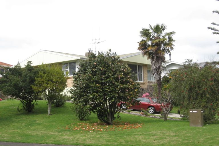 Photo of property in 16 Ninth Avenue, Tauranga, 3110