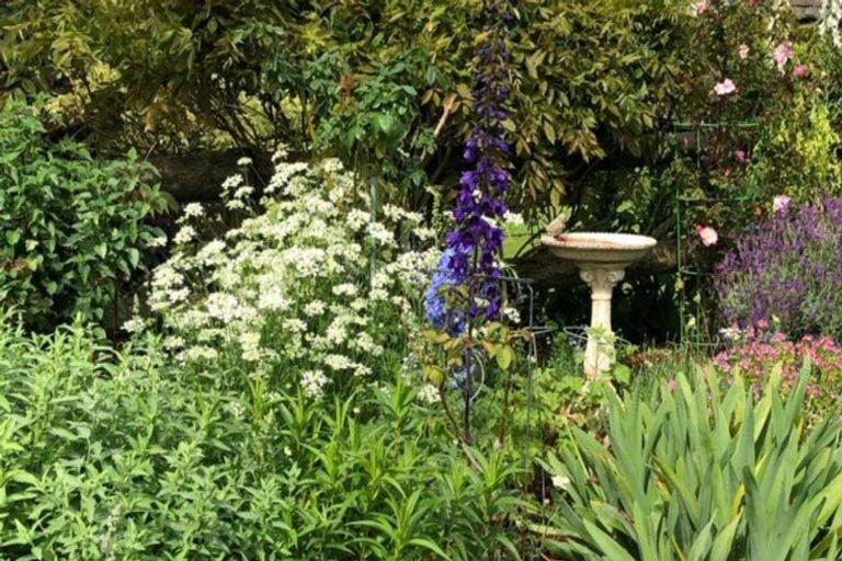 Photo of property in 554 Kingseat Road, Kingseat, Pukekohe, 2679