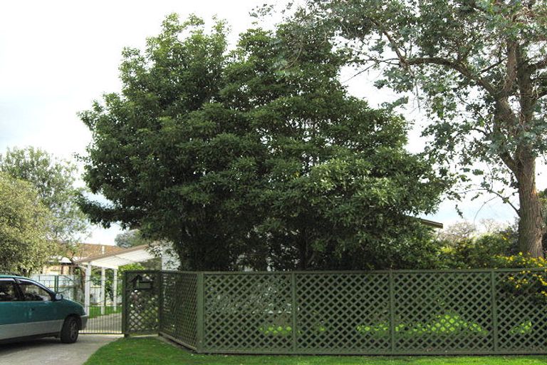 Photo of property in 16 Sutton Avenue, Clive, 4102