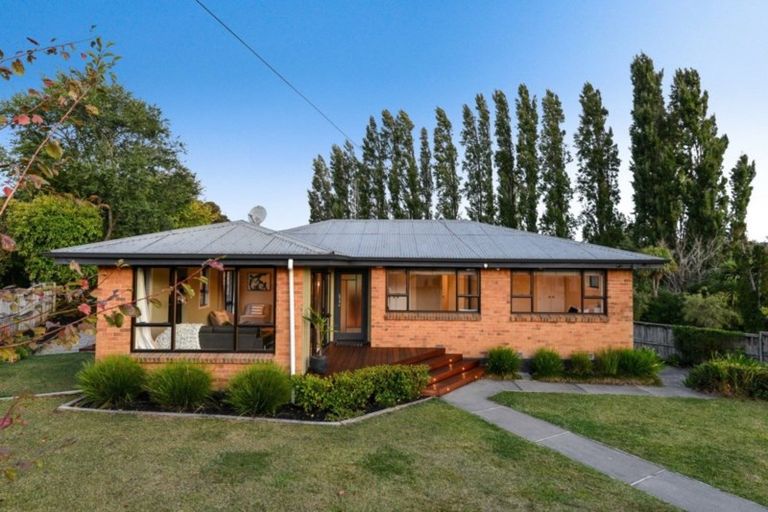 Photo of property in 30 Wymer Terrace, Chartwell, Hamilton, 3210