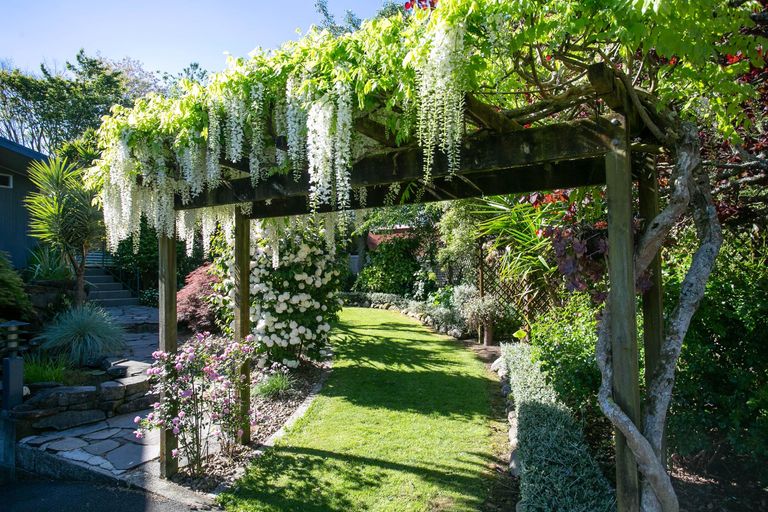 Photo of property in 6 Portsmouth Place, Matamata, 3400