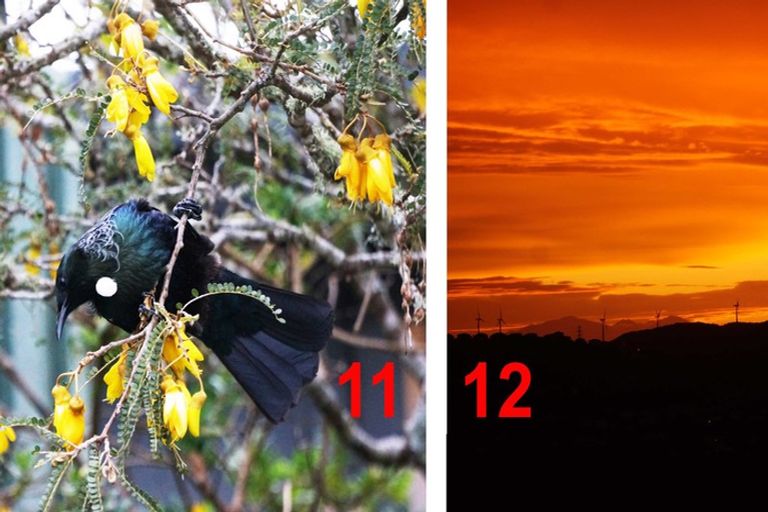 Photo of property in 169 Orangi Kaupapa Road, Northland, Wellington, 6012