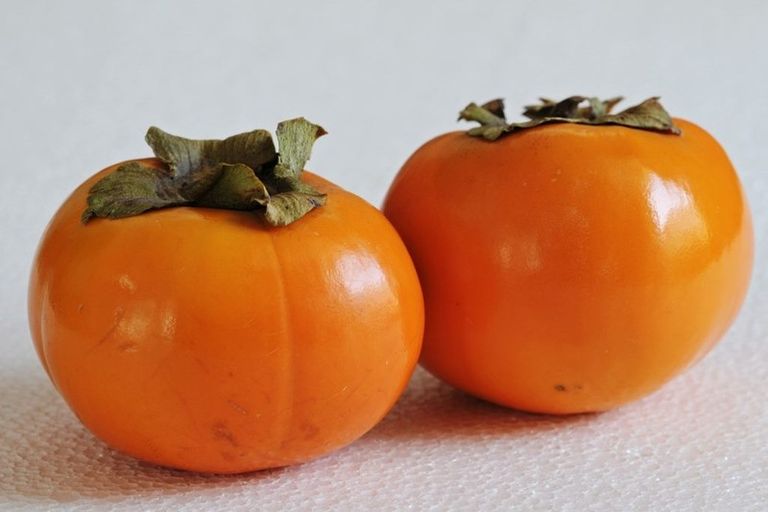 Photo of property in 1/10 Dinton Street, Russley, Christchurch, 8042