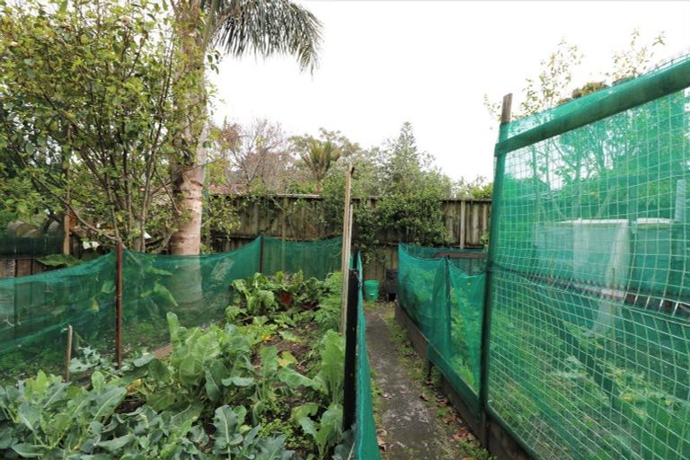 Photo of property in 13 Marlin Place, Whiritoa, Whangamata, 3691