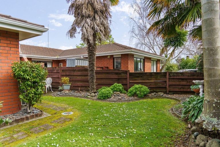 Photo of property in 4 Williams Street, Tauranga, 3110