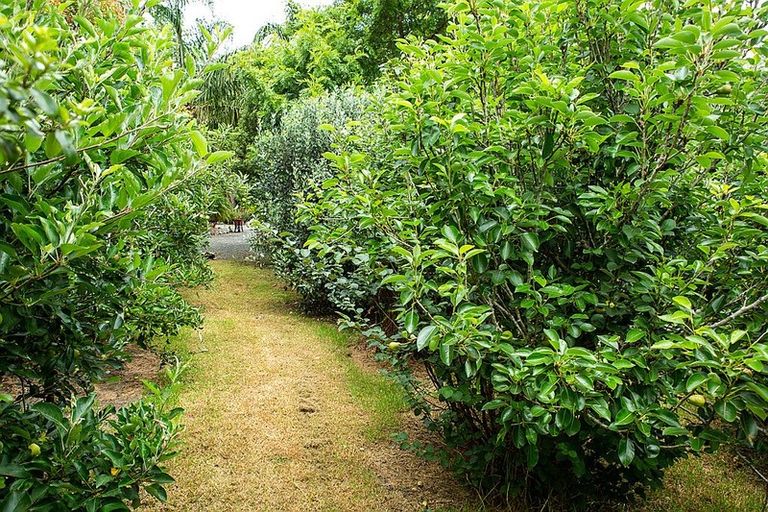 Photo of property in 401 Kumi Road, Awanui, 0486