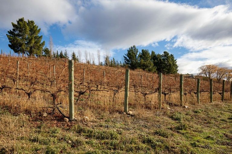 Photo of property in 31 Kelliher Lane, Springvale, Alexandra, 9393