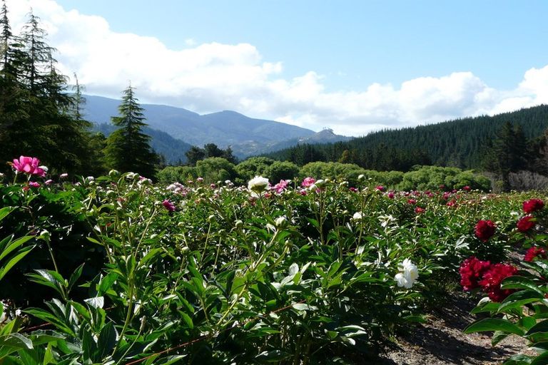 Photo of property in 538 Waiwhero Road, Ngatimoti, Upper Moutere, 7175