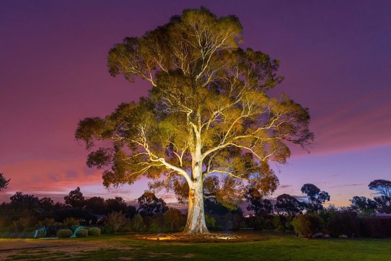 Photo of property in 6 Dry Hills Rise, Riverlands, Blenheim, 7274