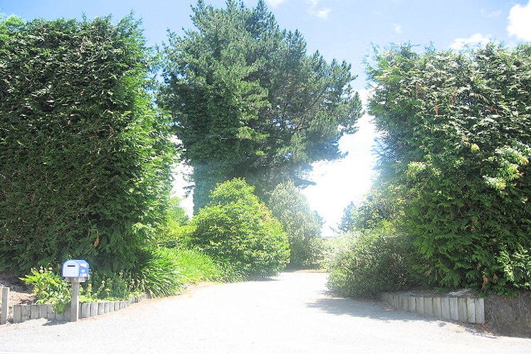 Photo of property in 584 No 1 Road, Te Puke, 3182