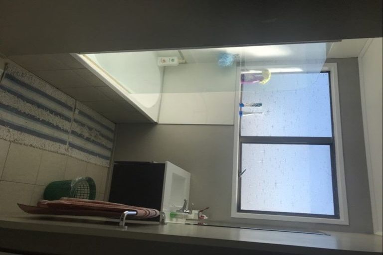 Photo of property in 21 Matthews Road, Flat Bush, Auckland, 2019