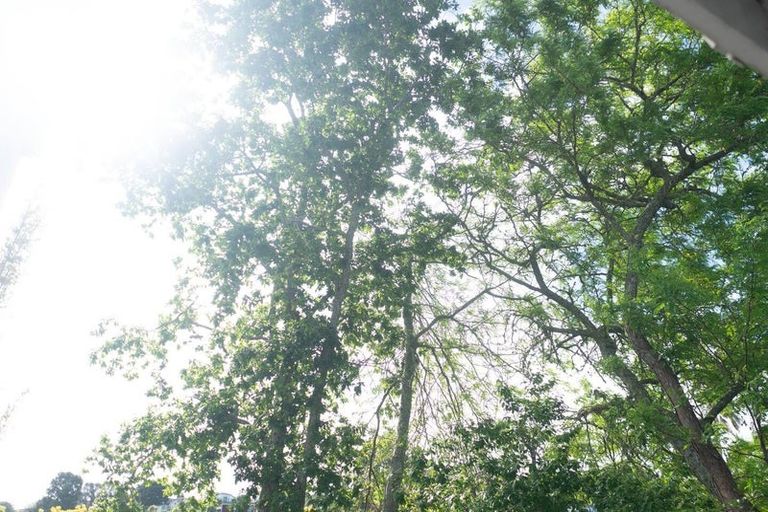 Photo of property in 22 Orion Place, Hillcrest, Auckland, 0627