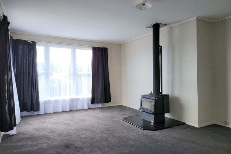 Photo of property in 17 Maire Street, Levin, 5510