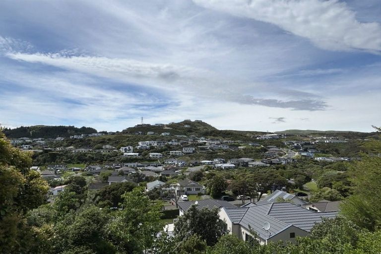 Photo of property in 17 Exploration Way, Whitby, Porirua, 5024