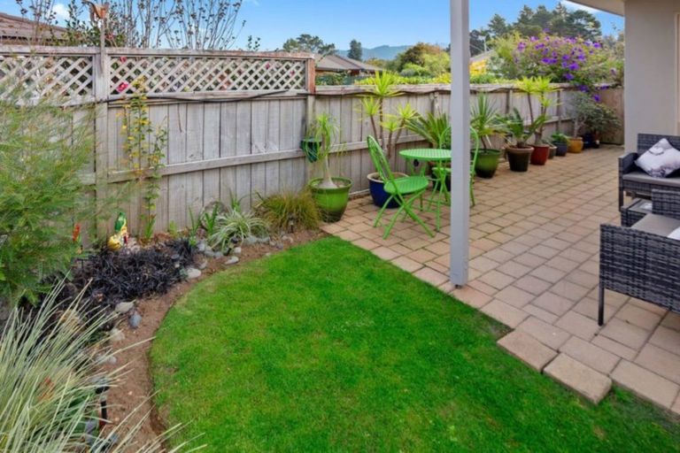 Photo of property in 19 Lansdowne Road, Katikati, 3129