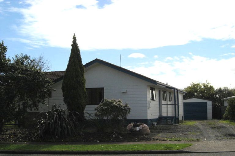 Photo of property in 21 Martin Harvey Street, Levin, 5510