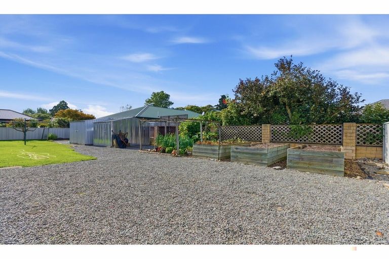 Photo of property in 11 Tancred Street, Geraldine, 7930