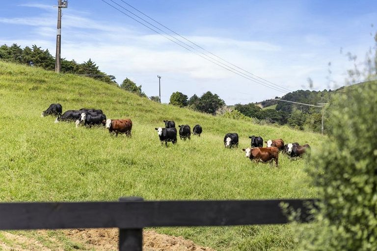 Photo of property in 671 Weranui Road, Puhoi, Silverdale, 0994