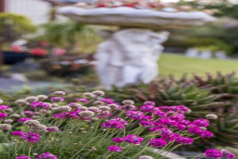 Photo of property in 20 Muscat Place, Henderson, Auckland, 0612