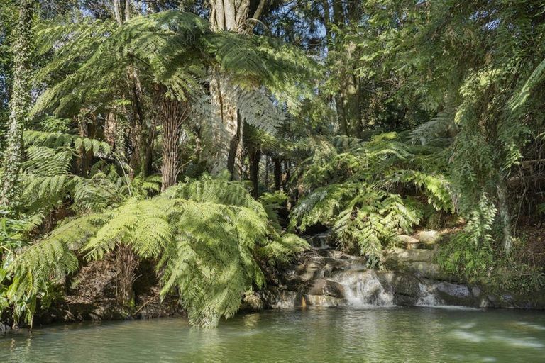 Photo of property in 441 Pukekauri Road, Waihi, 3682