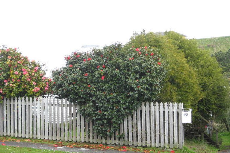 Photo of property in 40 Oranga Street, Marfell, New Plymouth, 4310