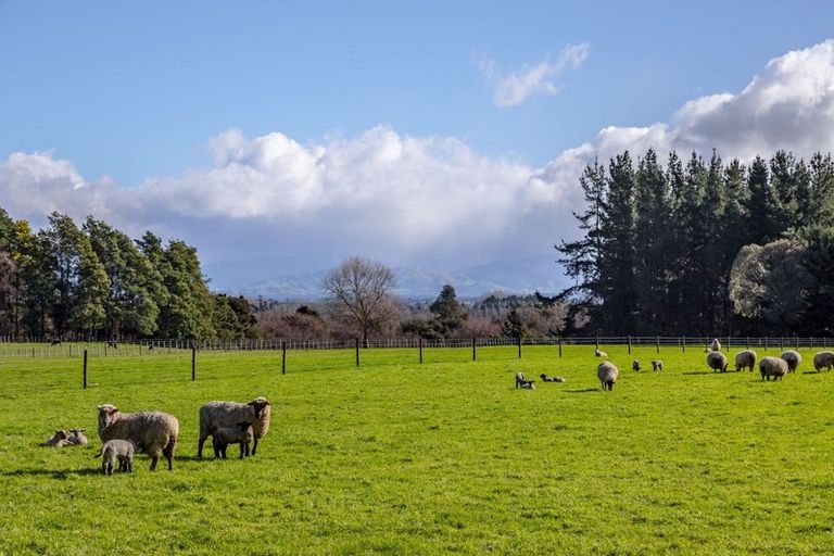 Photo of property in 22 Lees Pakaraka Road, Te Ore Ore, Masterton, 5886