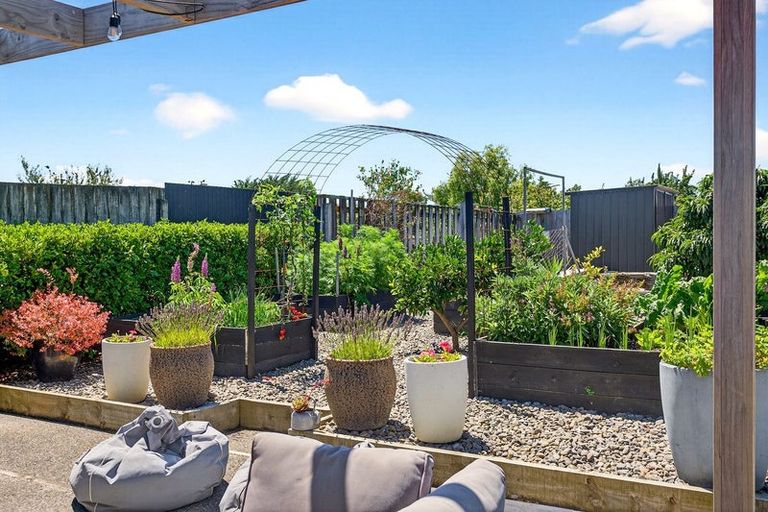 Photo of property in 47 Ferry Road, Martinborough, 5711