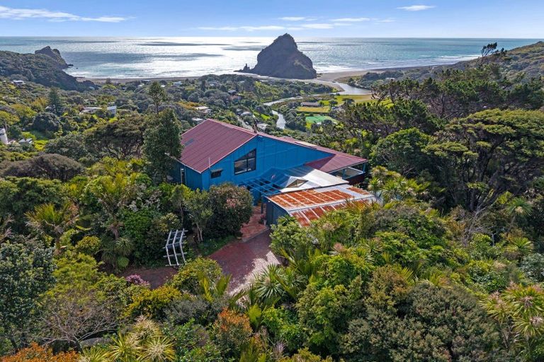 Photo of property in 100 Seaview Road, Piha, New Lynn, 0772