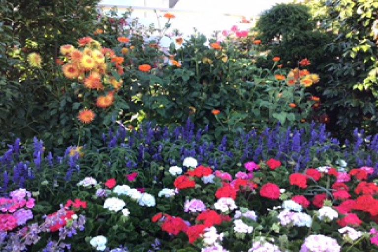 Photo of property in 63 Birch Street, Hilltop, Taupo, 3330