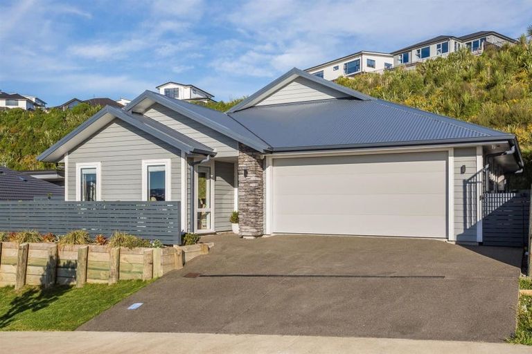 Photo of property in 45 Ken Douglas Drive, Aotea, Porirua, 5024
