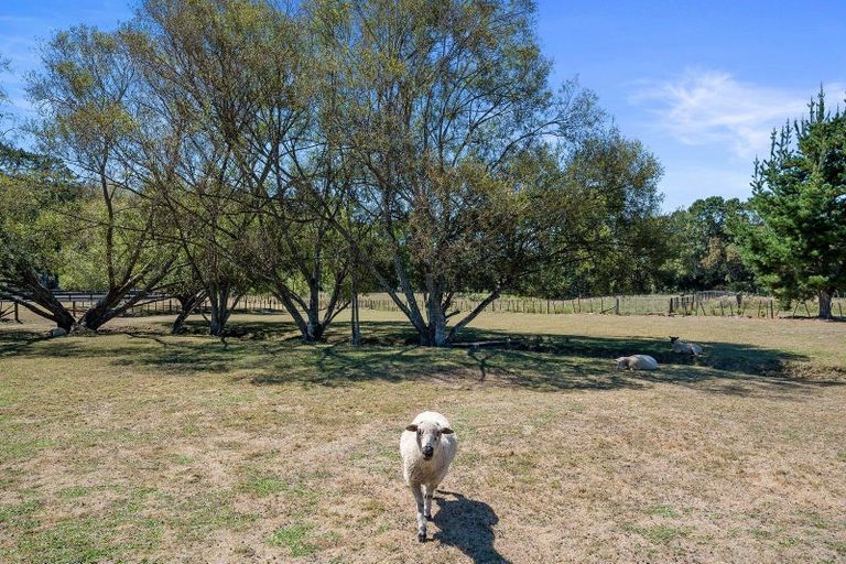 Photo of property in 240 Mill Flat Road, Riverhead, 0793