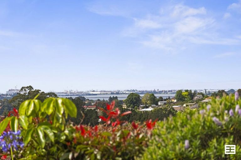 Photo of property in 88 Boscabel Drive, Ohauiti, Tauranga, 3112