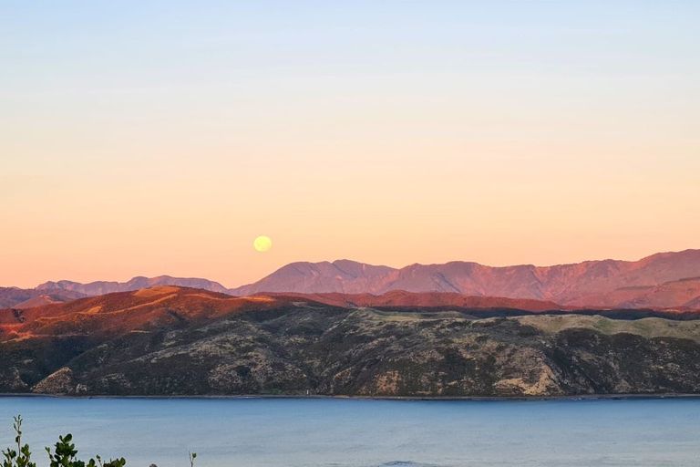 Photo of property in 75 Sidlaw Street, Strathmore Park, Wellington, 6022