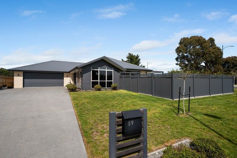 Photo of property in 59 Grigg Drive, Witherlea, Blenheim, 7201