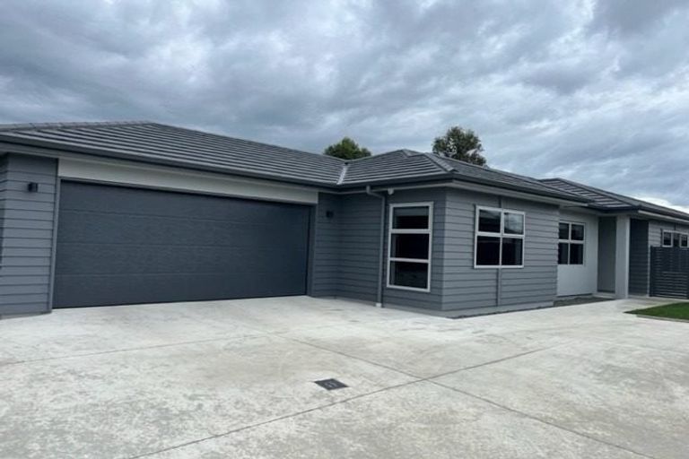 Photo of property in 8 Rangataiki Place, Te Awa, Napier, 4110