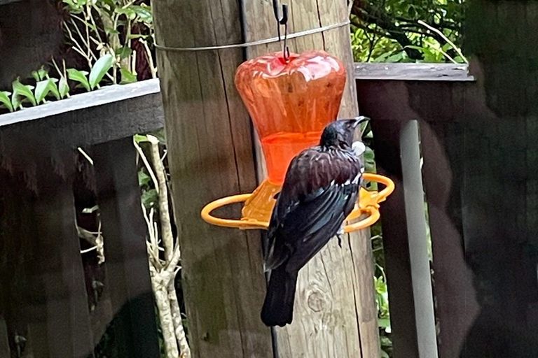 Photo of property in 51a Maungaraki Road, Korokoro, Lower Hutt, 5012