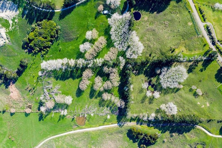 Photo of property in 16 Otara Road, Kaiwaka, 0573