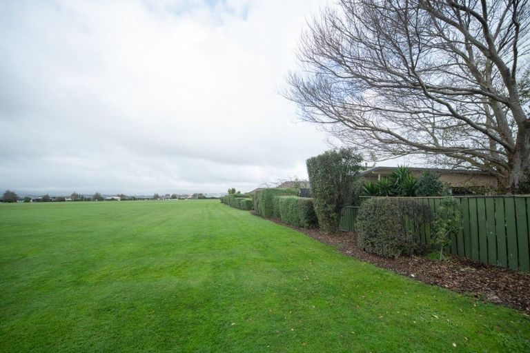 Photo of property in 39 Tennyson Avenue, Kelvin Grove, Palmerston North, 4414