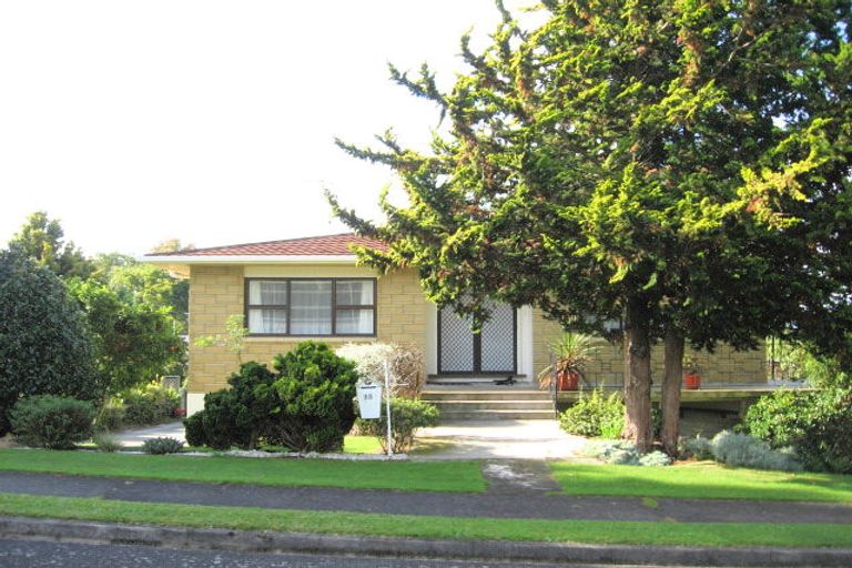 Photo of property in 15 Hillcrest Street, Tirau, 3410