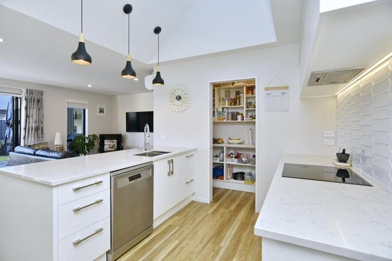 Photo of property in 8 Guyon Street, Marshland, Christchurch, 8083