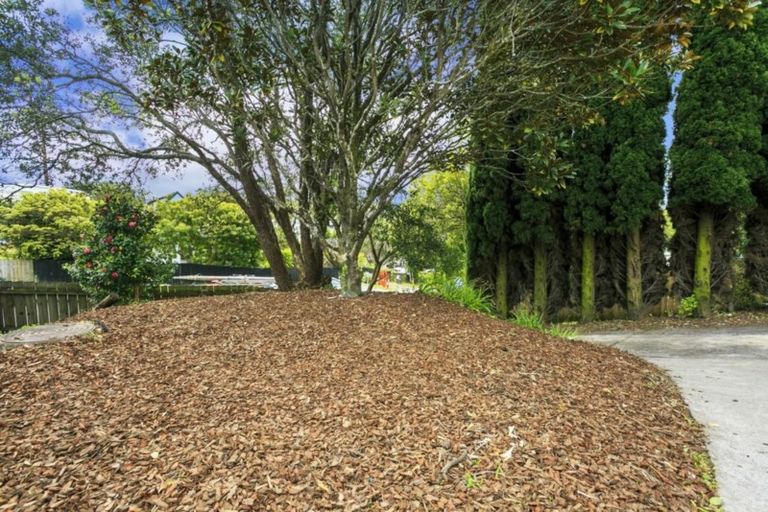 Photo of property in 12 Tawavale Crescent, Totara Vale, Auckland, 0629