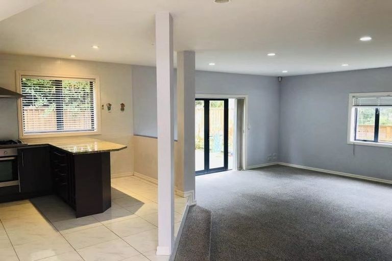 Photo of property in 1c Moore Street, Hillcrest, Auckland, 0627