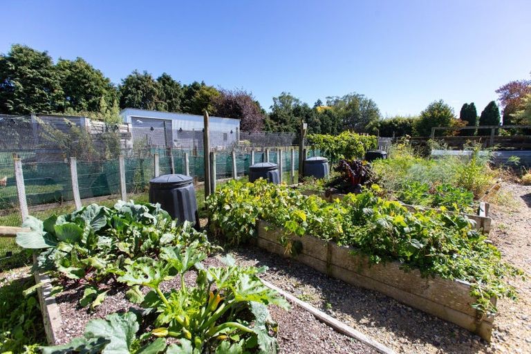 Photo of property in 111 Umutaoroa Road, Dannevirke, 4978