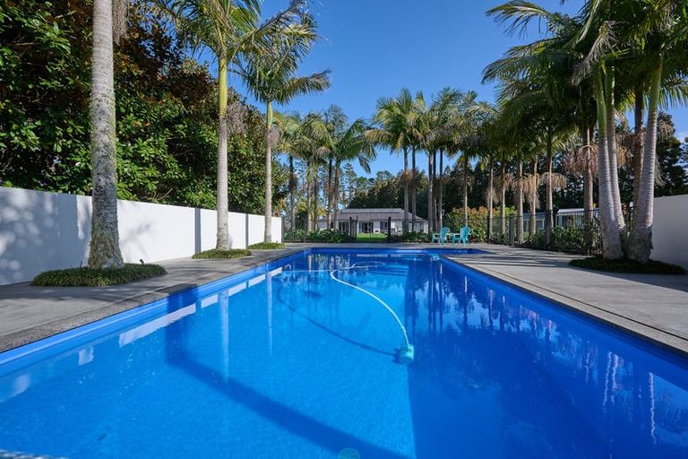 Photo of property in 223a Ness Road, Waipapa, Kerikeri, 0295