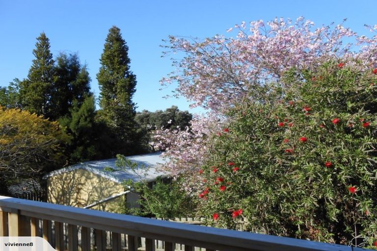 Photo of property in 29 Derrick Road, Kawakawa, 0210