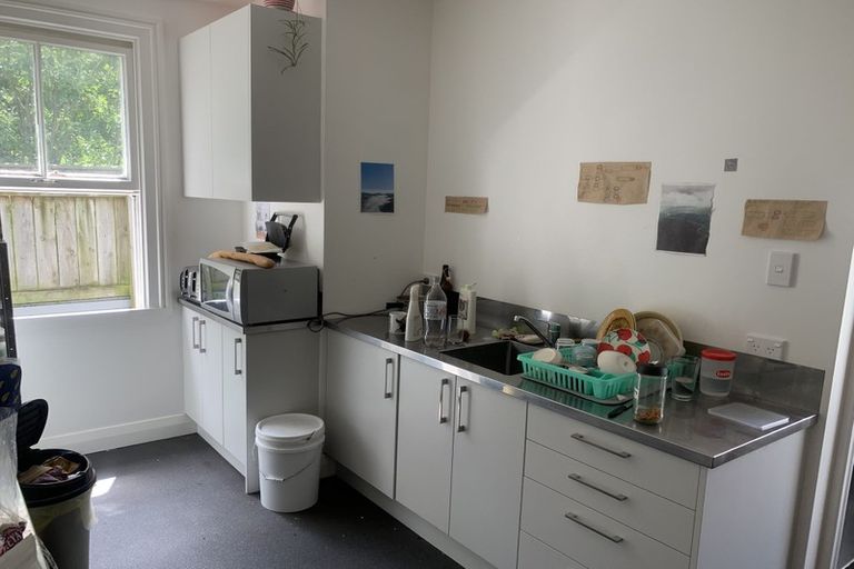 Photo of property in 46 Aro Street, Aro Valley, Wellington, 6021