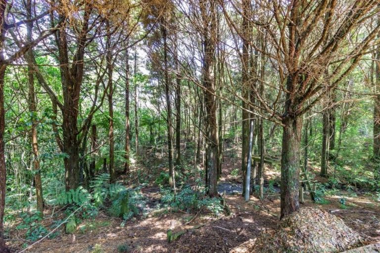 Photo of property in 17a Edkins Road, Kerikeri, 0230