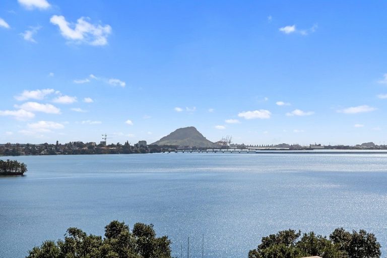 Photo of property in 31 Ririnui Place, Maungatapu, Tauranga, 3112