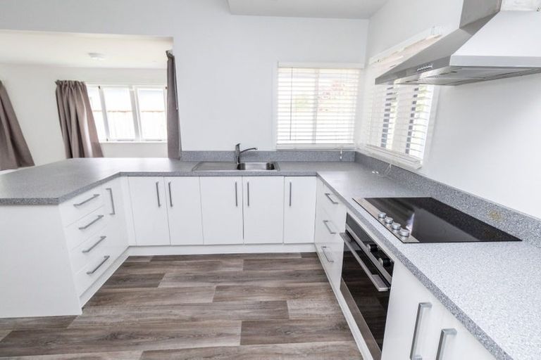 Photo of property in 88 Queenwood Road, Levin, 5510